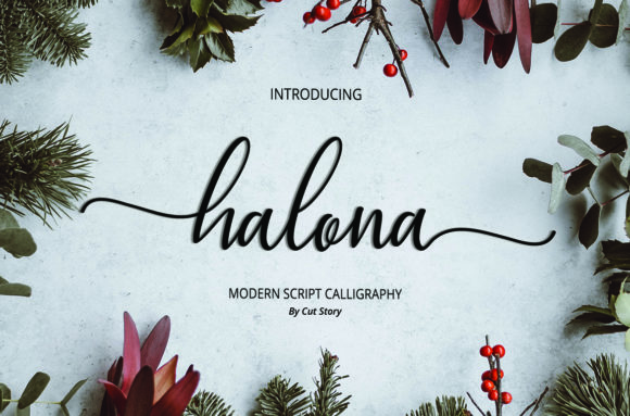 Halona Font for Business Branding