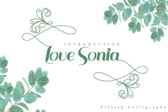 Love Sonia Font for a More Polished Brand Identity